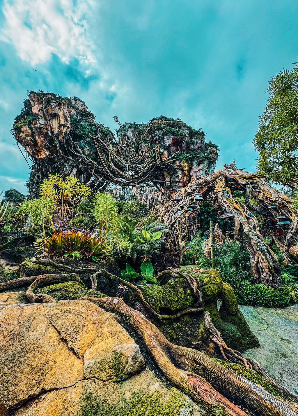 Pandora World of Avatar (2-Pack)