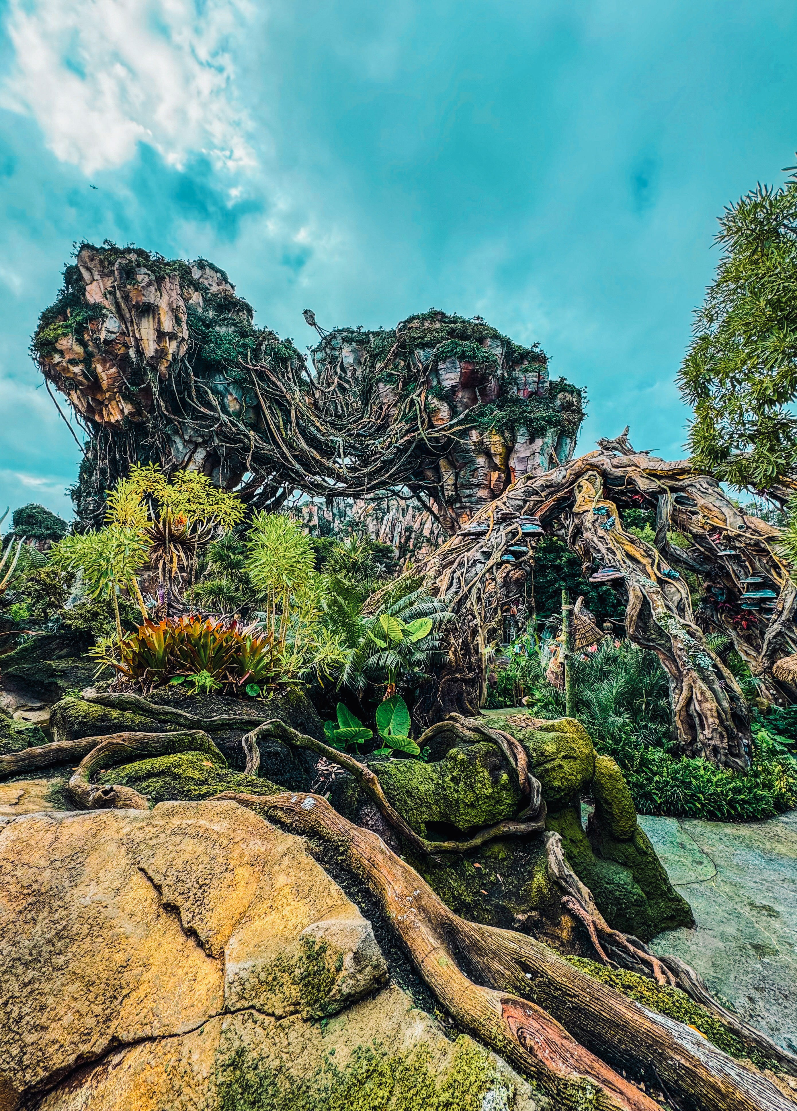 Pandora World of Avatar (2-Pack)